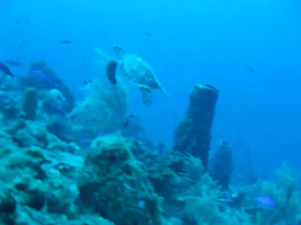 2014 01 24 La Piscine (1).AVI