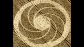 Crop Circle at Milk Hill, Wiltshire 5th August 2012 HD