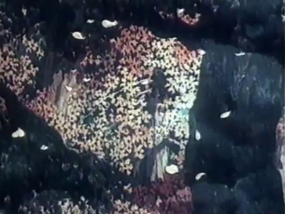 06.Hrabryj.Pak.1953.XviD.DVDRip