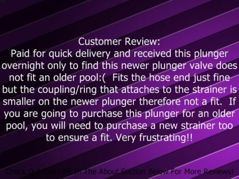 Intex Above Ground Pool Plunger Valve Review