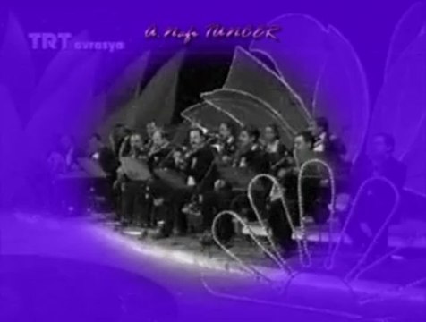 Elif GÜREŞÇİ ÇİFTÇİOĞLU-Mihrabım Diyerek Sana Yüz Vurdum