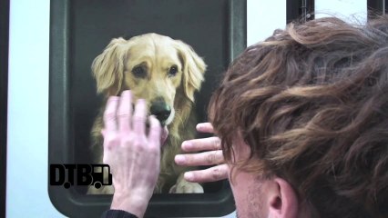 Dinosaur Pile Up - TOUR TIPS (Top 5) Ep. 97