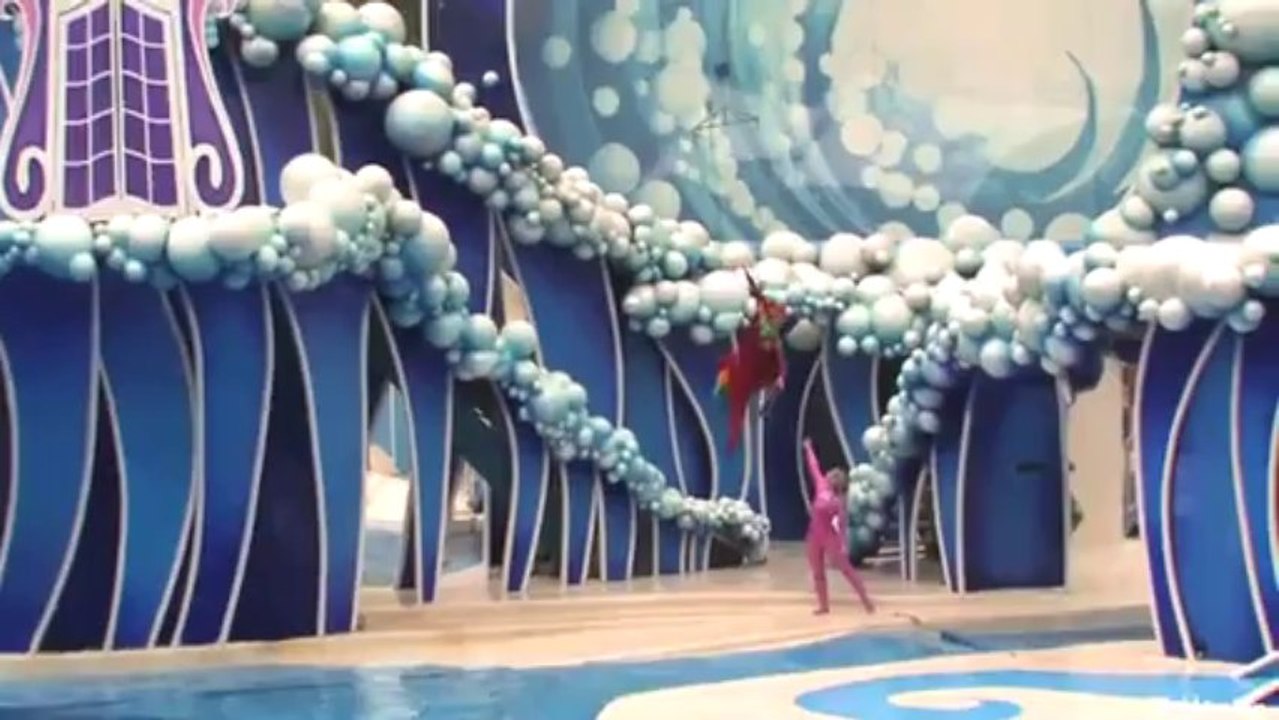 ♥♥ SeaWorld's _Blue Horizons_ Dolphin Show (in HD)