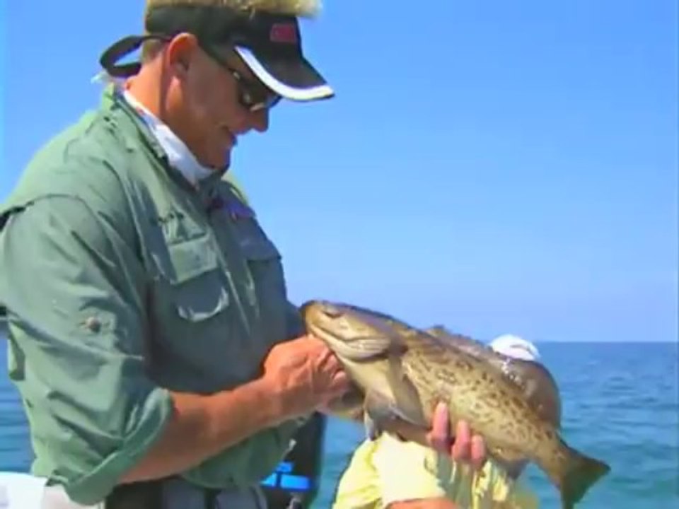 Addictive Fishing_ Gulf Confidence - WRECK grouper & permit
