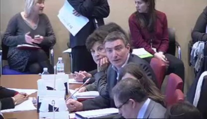 Recherche sur l'embryon et les cellules embryonnaires - Mercredi 20 Mars 2013