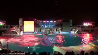 Shamu Rocks! (Full Show) SeaWorld San Diego