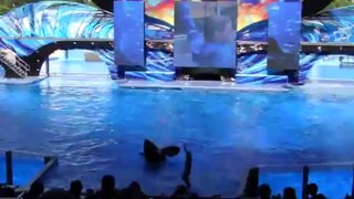 SeaWorld Orlando's _One Ocean_ Show - OPENING DAY (Full Show)