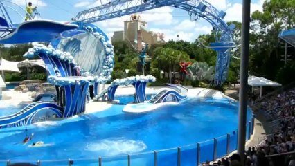 The Full Dolphin Dance Show in SeaWorld Orlando 9_11_2011