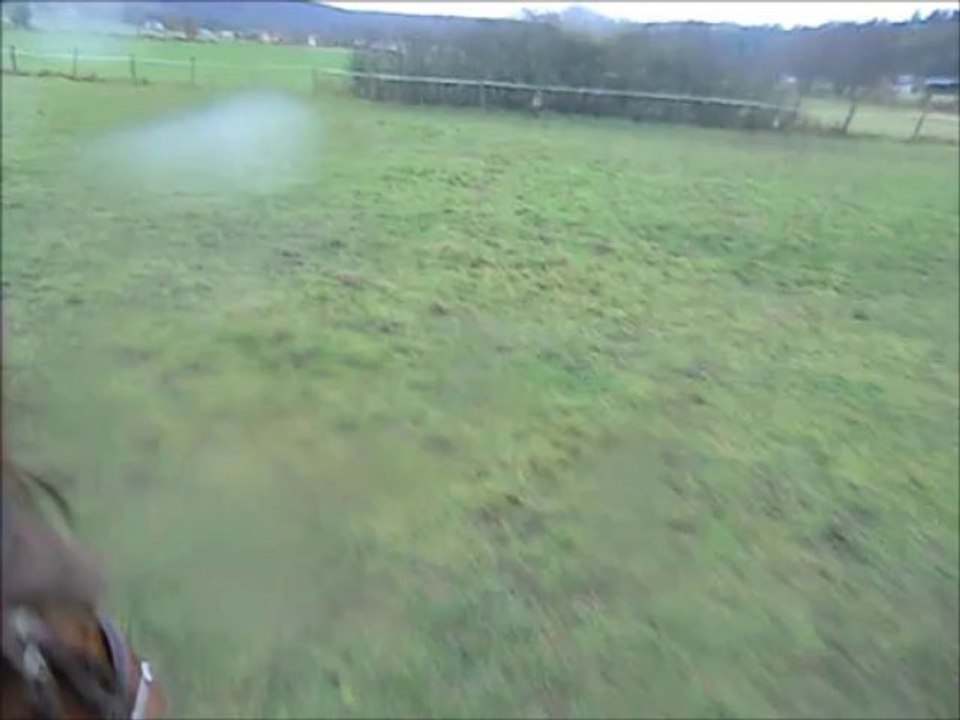 séance de saut avec kiss