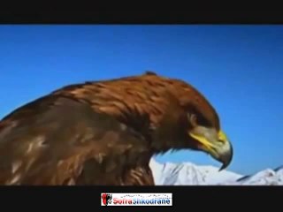 Kerkon Shqipja Djemt e Humbur  Reshat Arbana dhe Mirush Kabashi Official