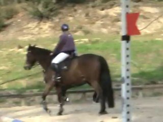 Ulane détente CSO Maine Gaudin 12.01.2014