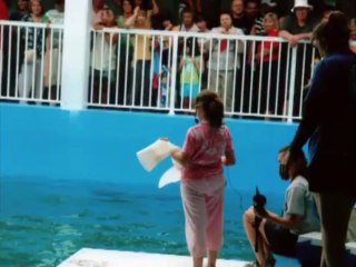 Winter_ The Dolphin That Could