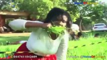 CHOC ! Un Pasteur fait manger de l'herbe et donne des coups de pieds à sa congregation..@VoiceOfCongo