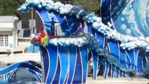 Dolphin and Beluga Whales Show called Blue Horizons at SeaWorld, Orlando, Florida on Dec 28 2011