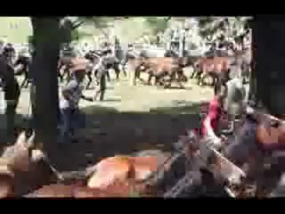 CURRO DE LAS CAÑIZADAS 2011 EN POBRA DO CARAMIÑAL