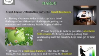 Search Engine Optimization Services - HAKLU