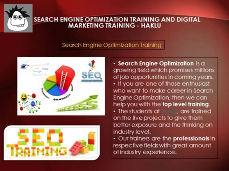 Search Engine Optimization and Digital Marketing Training - HAKLU