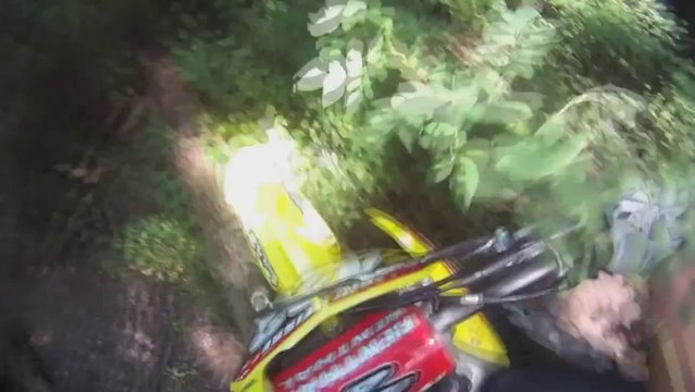 RMZ 250 Dirt Bike Hits a tree