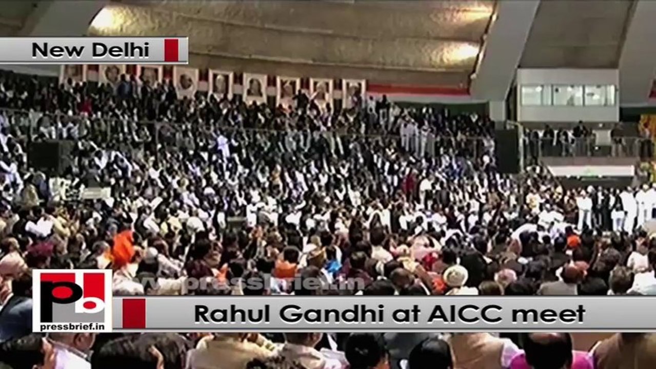 Rahul Gandhi: Congress is a party which respects constitution and its democratic principles