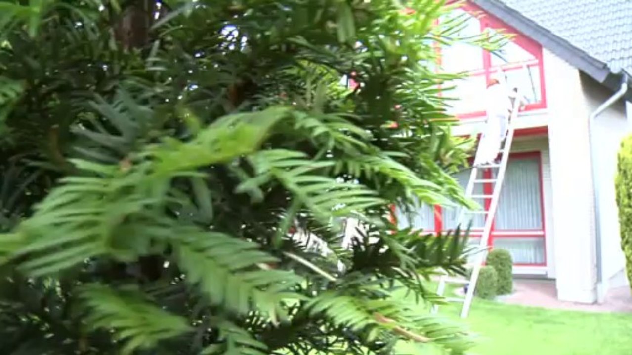 Handwerkervideo: Maler aus Lemgo: Malermeisterin Marina Lindner gibt Maler-Tipps.