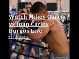 watch Mikey Garcia vs Juan Carlos Burgos fight online streaming