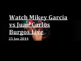 watch Garcia vs Burgos fight streaming jan