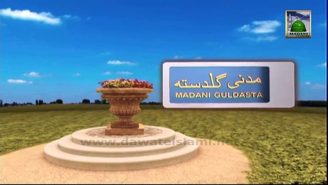 Useful Information 402 - Jashn e Wiladat Mananey Wala Khandan - Maulana Amin Attari