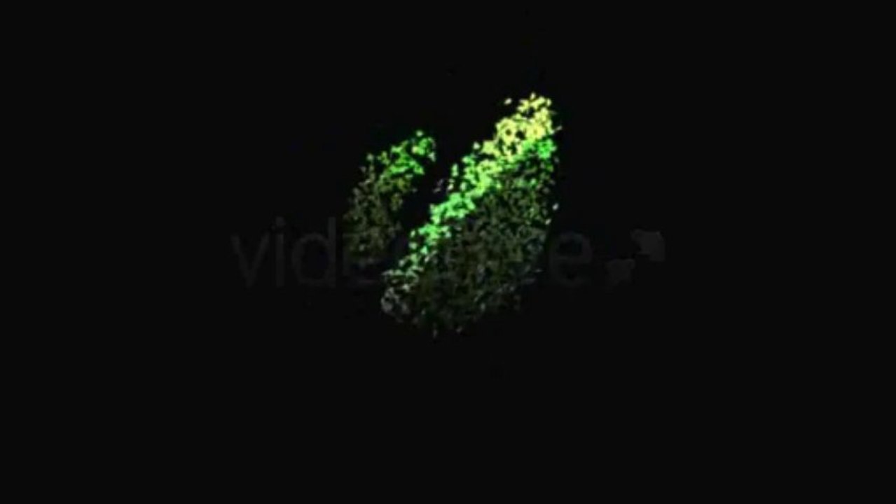 Splinter Logo Reveal - After Effects Template