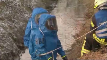 4 millions de litres de fumier déversés par accident