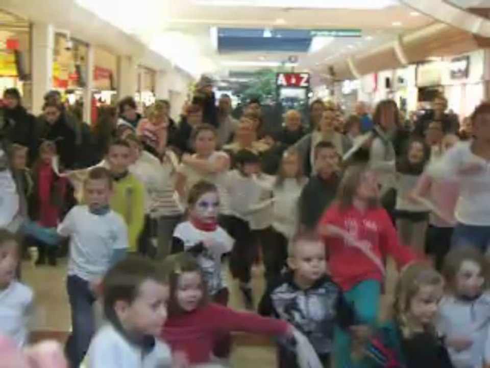 FlashMob - Ecole Sainte Jeanne d'Arc Wimille - Galerie marchande Auchan St-Martin Boulogne
