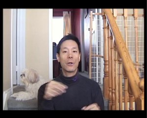 Easy Ways To Give Pills To Your Dog