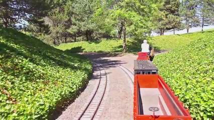 Mini train et voie ferrée dans le jardin