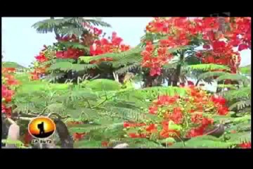 En Ruta: Conozca la historia y misticismo de Casma la ciudad del eterno sol (1/2)