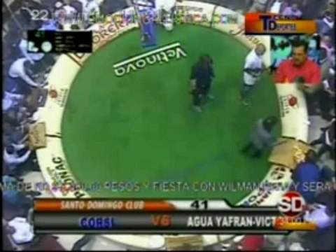 Programa-Tecnodeportes-15-1-2014-Coliseo-Sto.Dgo.-Torneo-Don-Mario-Fdez-Mena