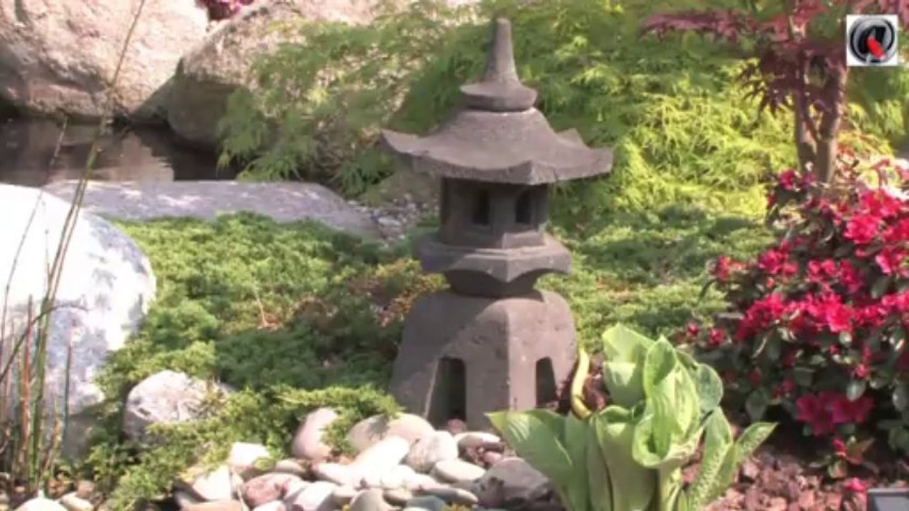 Jardin japonais 1