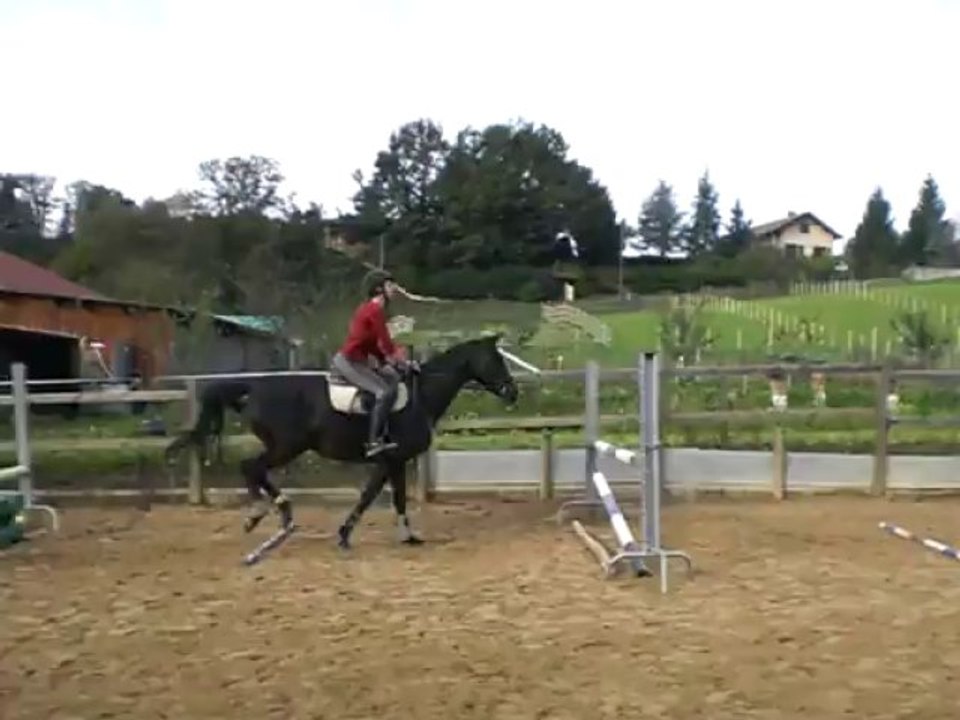 Romane 25-10-13 (stage Laurence)