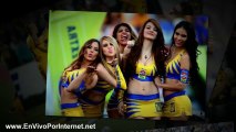 Ver Tigres vs Pumas En Vivo 25 de Enero del 2014 | Liga MX Clausura 2014