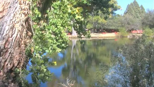 Tucson RV Parks Reviews RV Campgrounds Tucson Reviews