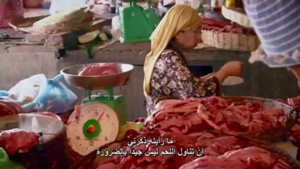 BBC  هل أكلنا للحشرات يستطيع إنقاذ العالم؟