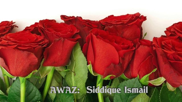 Urdu Naat HD Madine Ka Safar Hai - Siddique Ismail