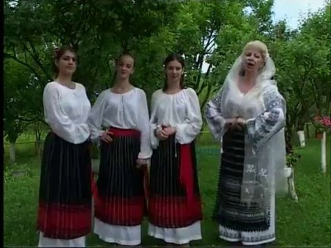 OFELIA FLORICA HARANGUS - Cucule, pasare mandra - 14.09.2013