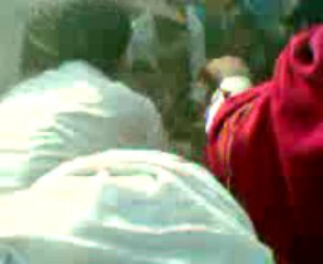 DOG FIGHTS BY SALEEM GUJJAR