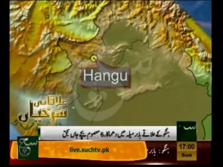 Regional News Headlines 05pm January 26, 2014