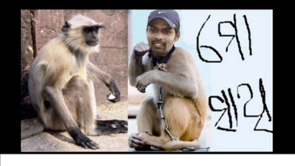 orissa cricket ranji cricketer natraj behera orissa sports (12)