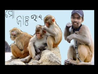 orissa cricket ranji cricketer natraj behera orissa sports (1)