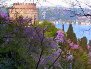 akrep nalan - asiyan