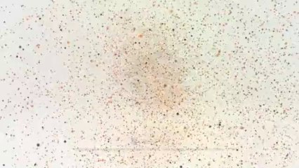 Floating Particles - After Effects Template