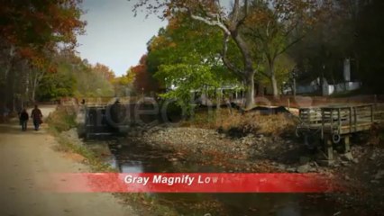 Gray Magnify Lower Third - After Effects Template