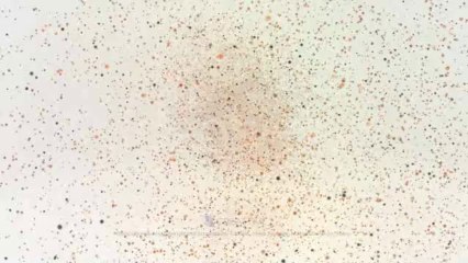 Floating Particles - After Effects Template