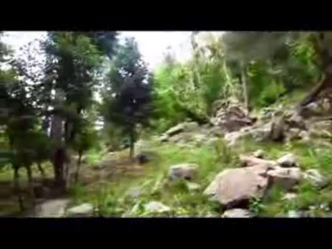 Kumrat Valley Dir Kohistan